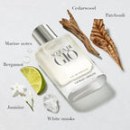 Acqua di Giò Pour Homme EDT