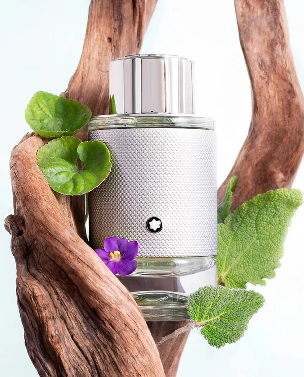 Montblanc Explorer Platinum Eau de Parfum