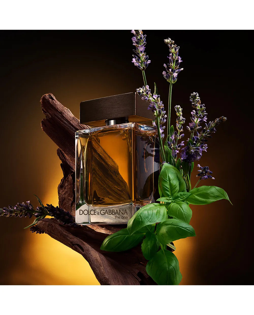The One for Men Eau de Toilette