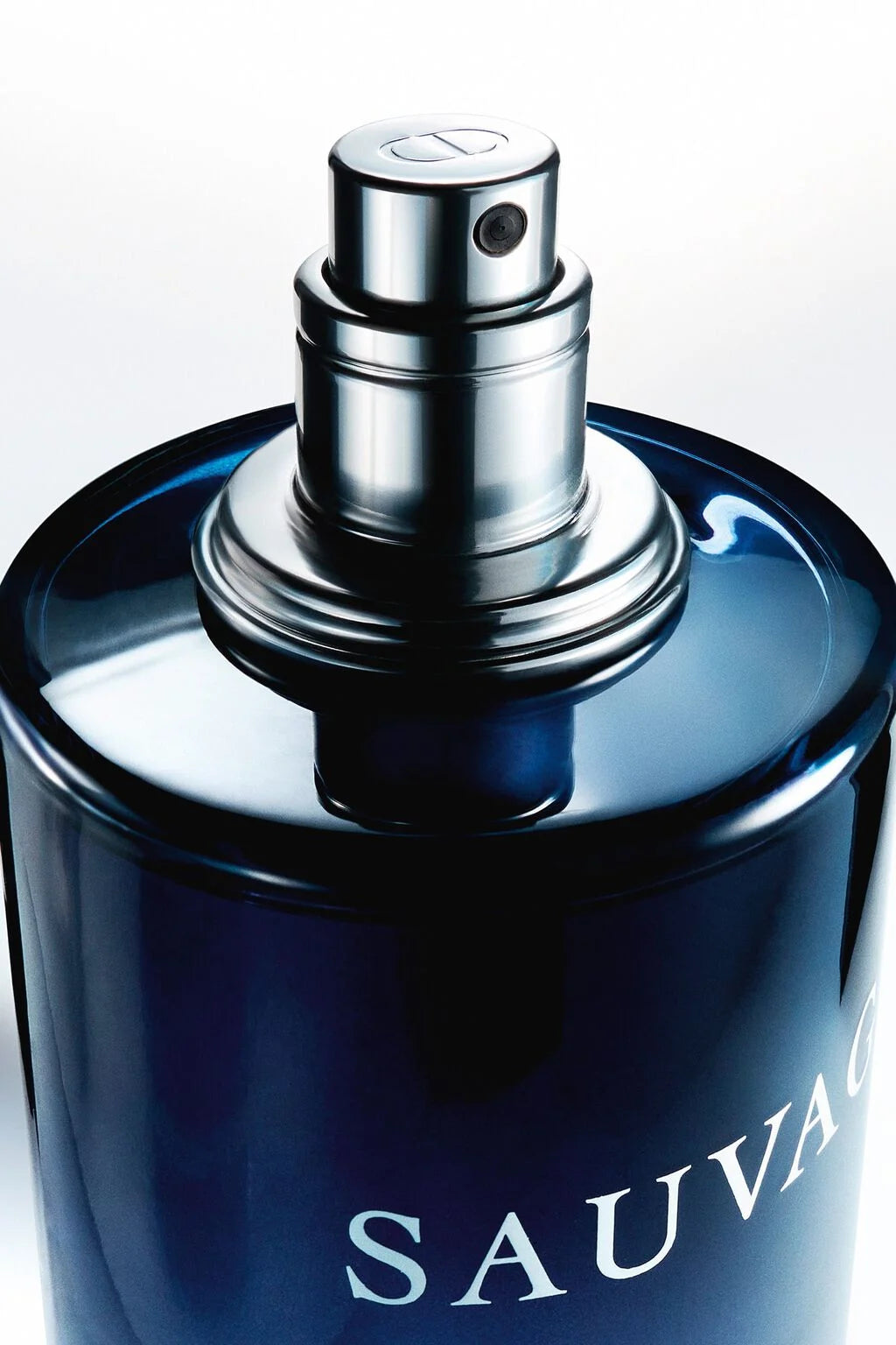 Dior Sauvage Eau de Toilette 100ml