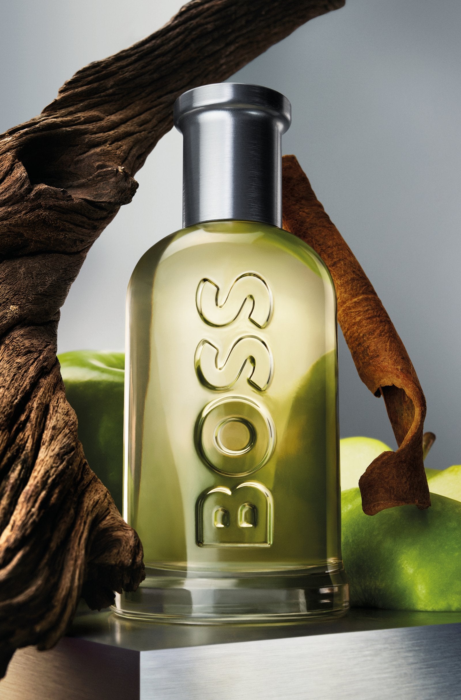 BOSS Bottled EDT 100ml